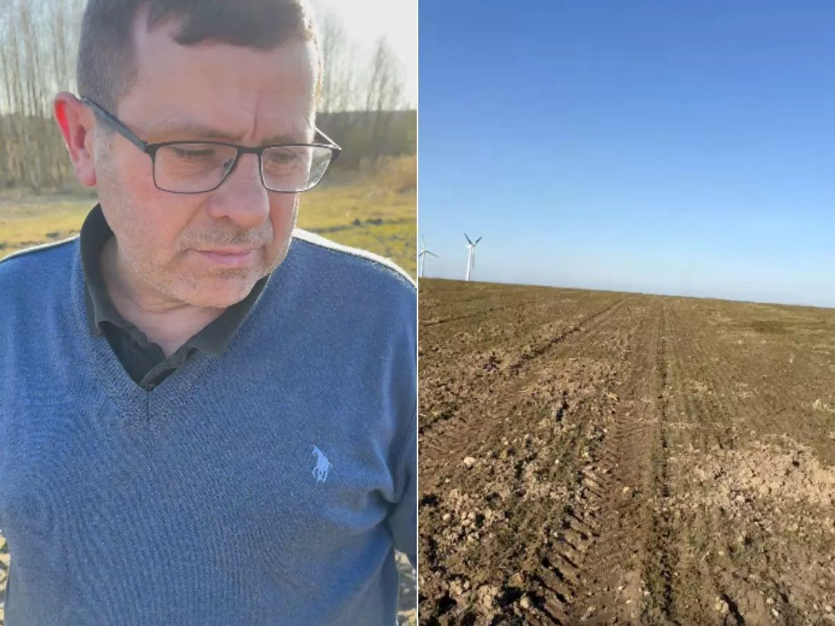 „Ta zwierzyna robi z naszymi polami, co chce”. Rolnicy z Piotrkowa bezradni