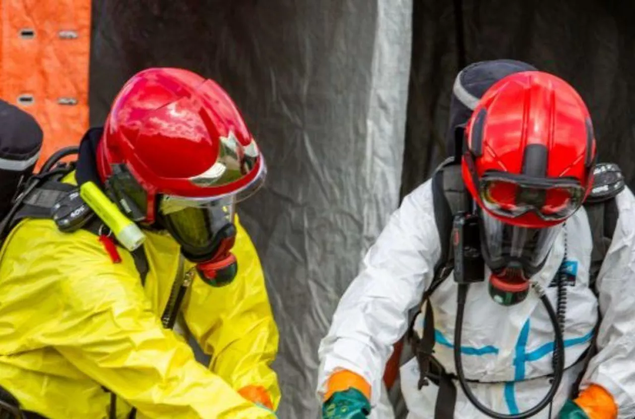 Wypadek w gospodarstwie pod Piłą. Toksyny zabiły setki świń [NASZ NEWS]