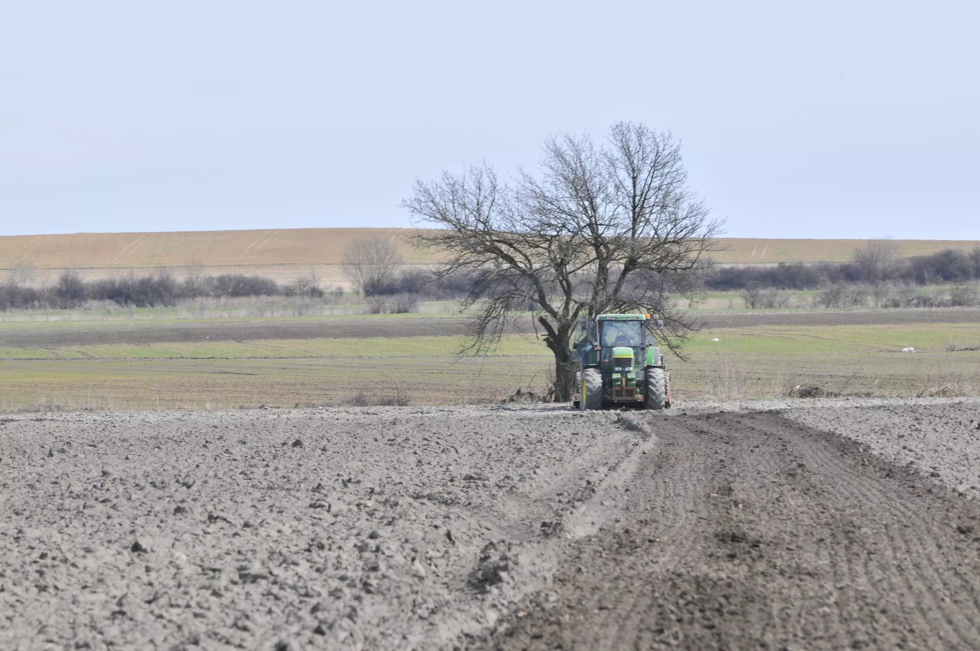 Ziemia rolna drożeje mimo kryzysu. Rolnicy płacą choćby 200 tys. zł za hektar