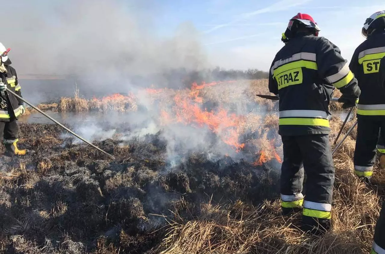 ARiMR już ukarała rolników. Przez jeden błąd tracą tysiące złotych
