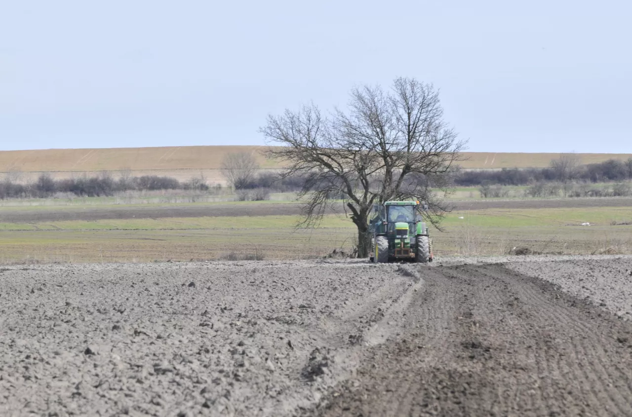 Ziemia rolna drożeje mimo kryzysu. Rolnicy płacą choćby 200 tys. zł za hektar