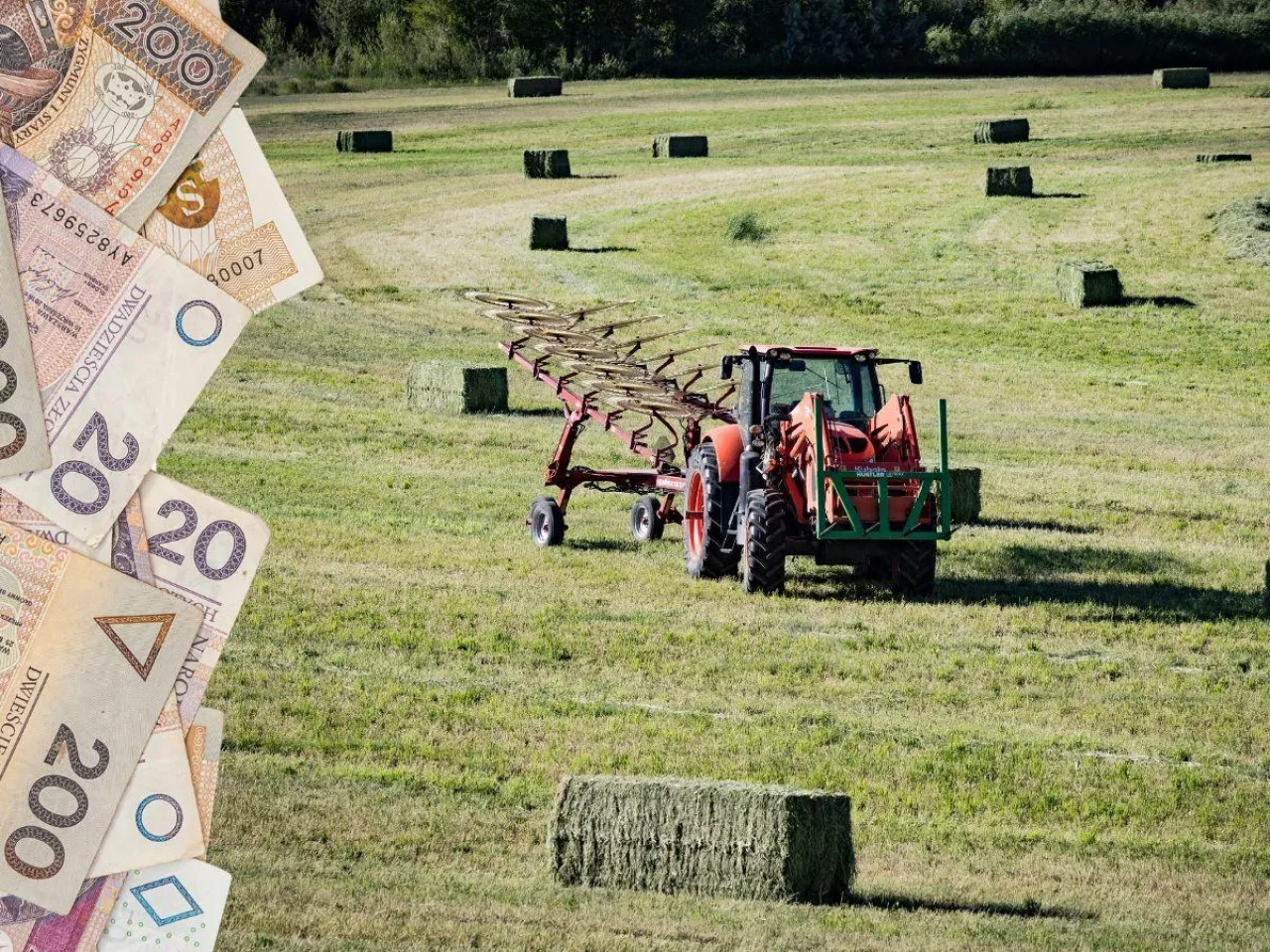 KOWR sprzeda 75 ha ziemi na Pomorzu. Za ile?