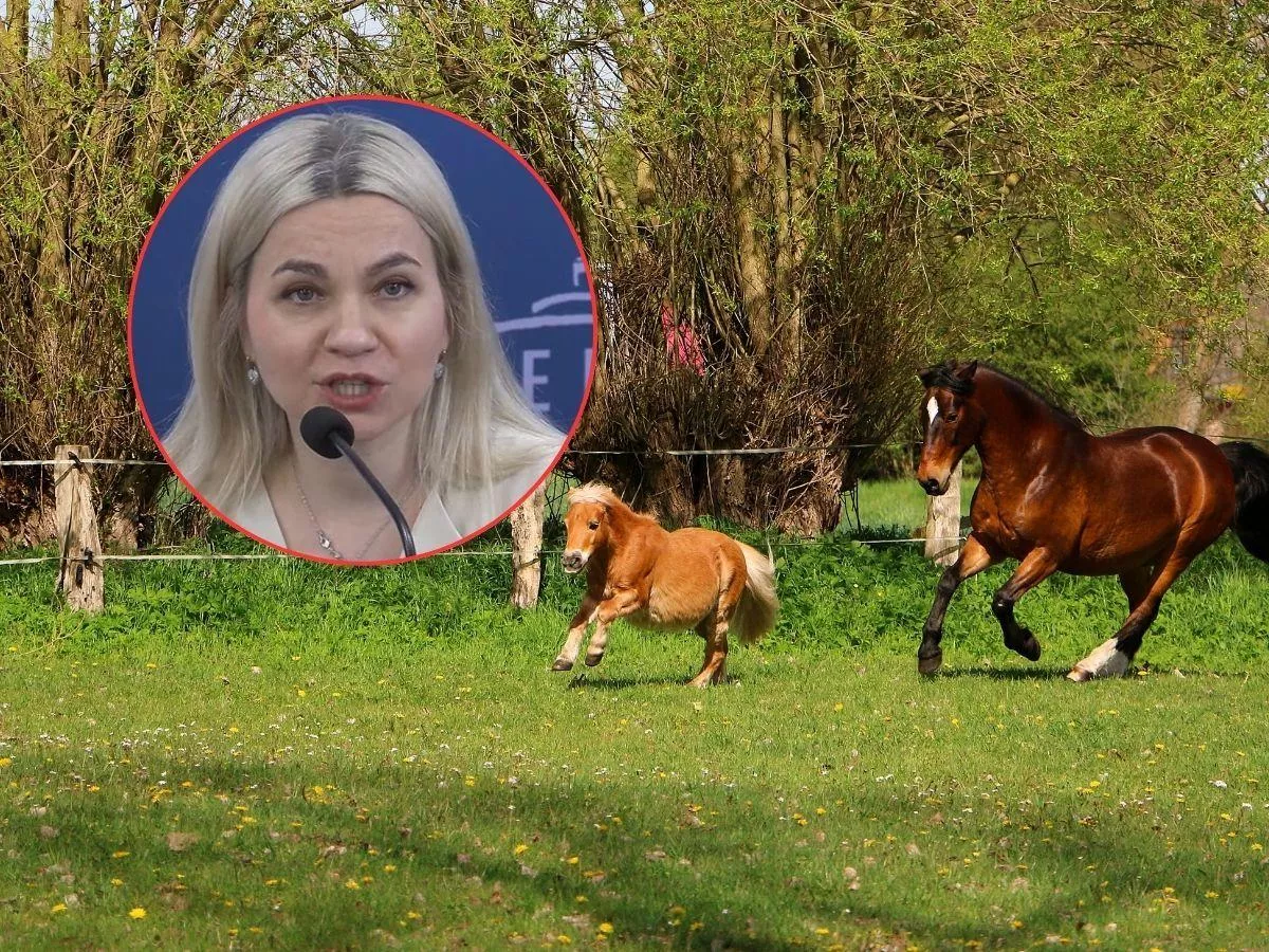 Będą dopłaty do koni? Hodowcy czekali na to latami