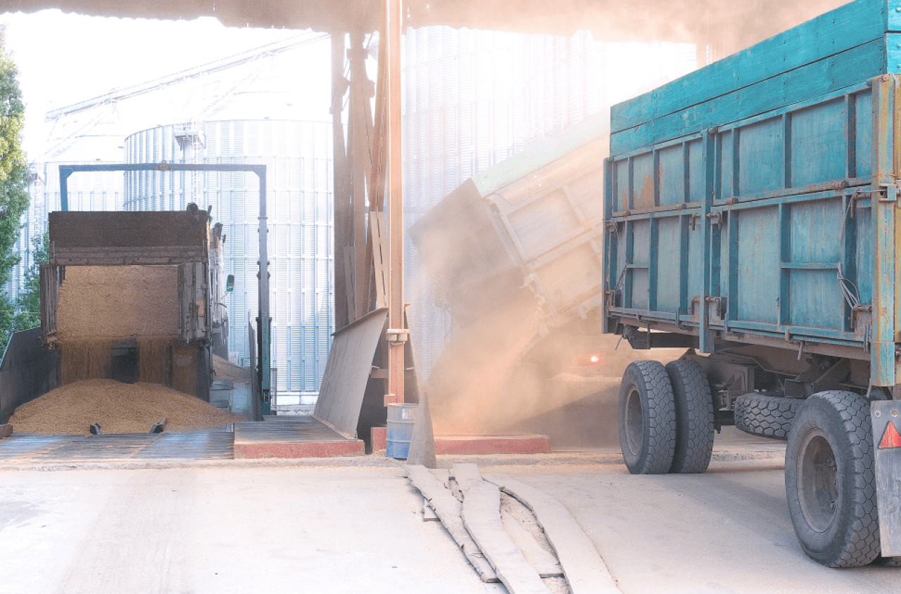 Ponad 100 rolników bez pieniędzy za zboże. „Zawieźliśmy towar i nagle cisza”