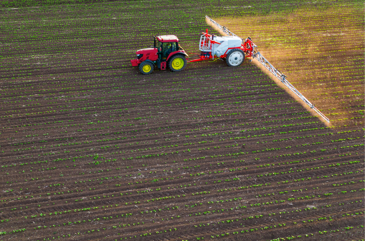 Czy szkolenie z IP wystarczy, żeby kupić środki ochrony roślin? Jest jeden wyjątek