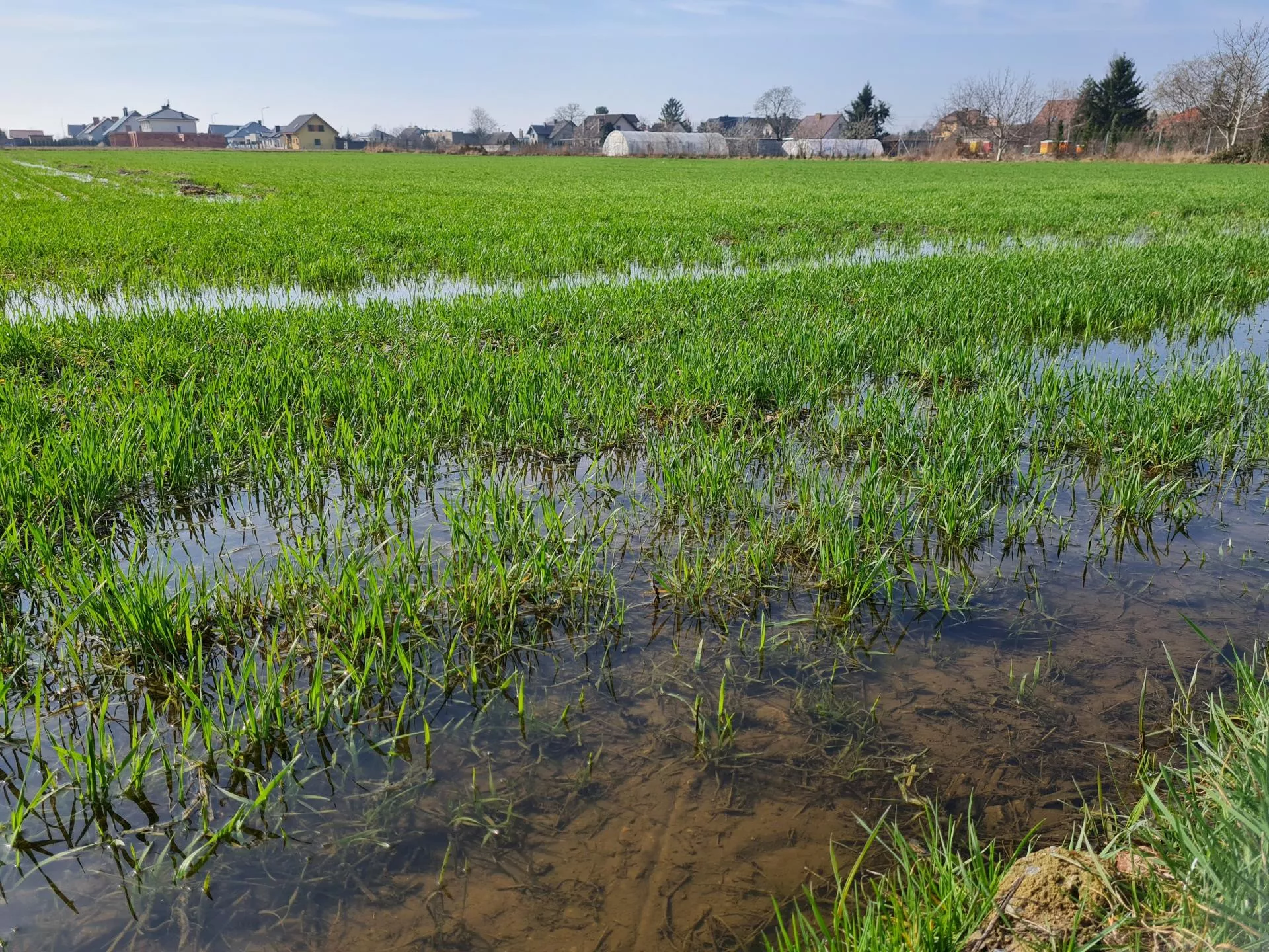 Sąsiad podniósł działkę o 1,5 m. Teraz woda zalewa gospodarstwo