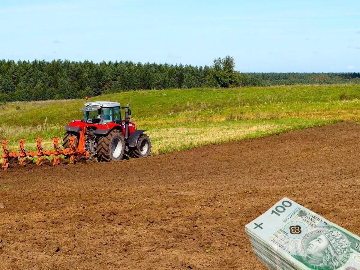 Ile kosztuje ziemia V i VI klasy? Sprawdzamy aktualne ceny