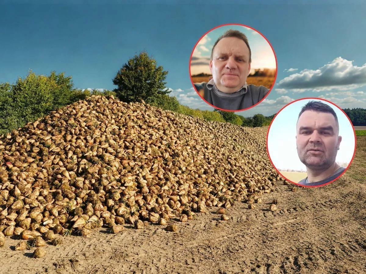 „Z buraka zniknęło mi 700 tys. zł”. Rolnicy alarmują o cenach