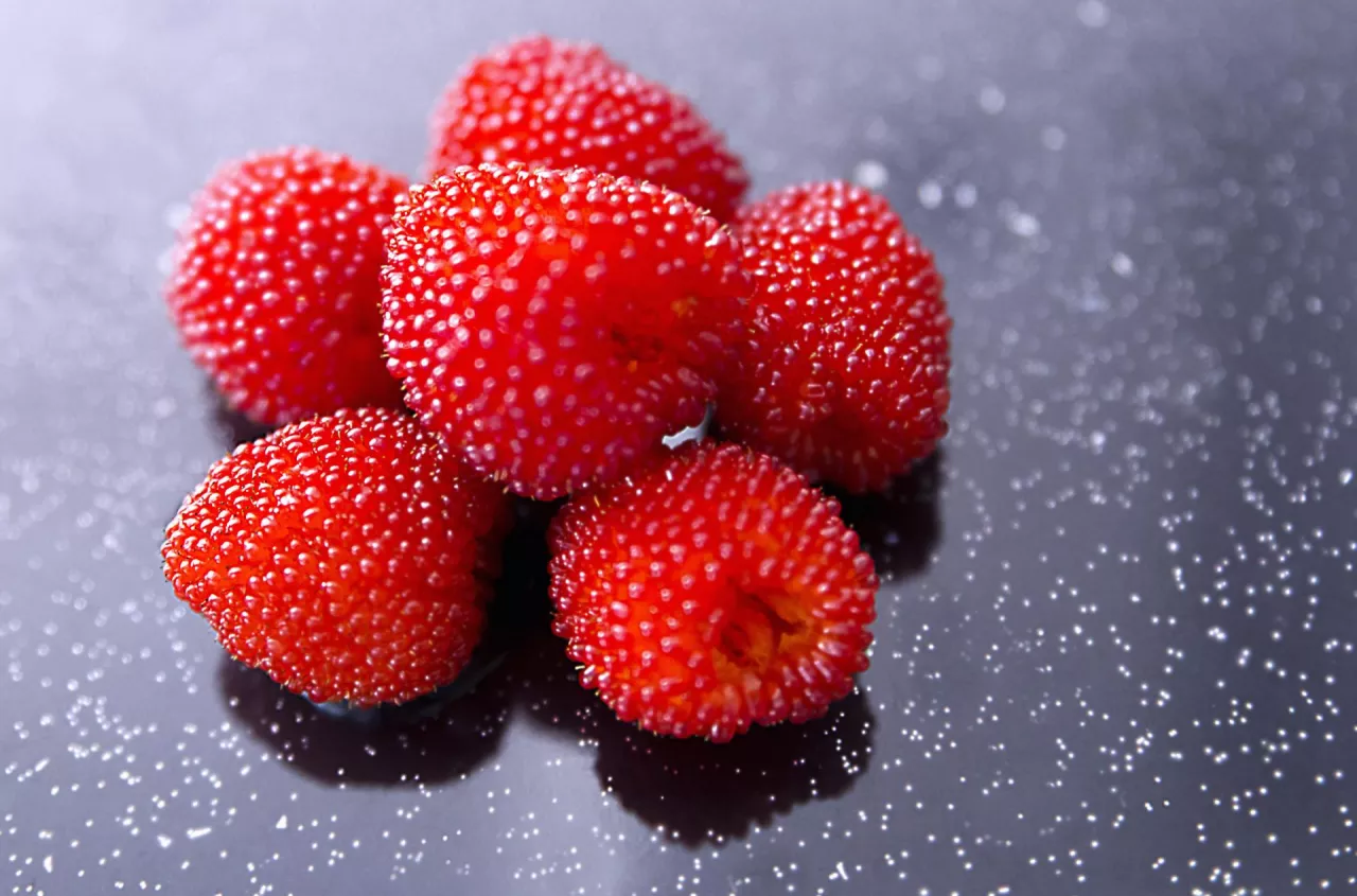 Malinotruskawka podbija ogrody. Co to za roślina i jak ją uprawiać?