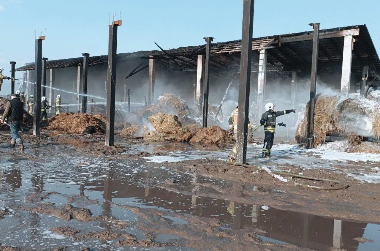 W jednej chwili stracił kilkadziesiąt sztuk bydła. Pożar obory na Podlasiu