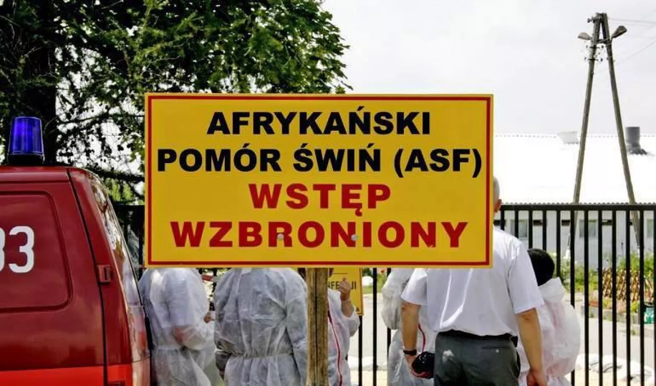 Od 18 marca obowiązuje bardziej elastyczny system wypłaty odszkodowań za zwierzęta w wyniku wystapienia chorób zakaźnych