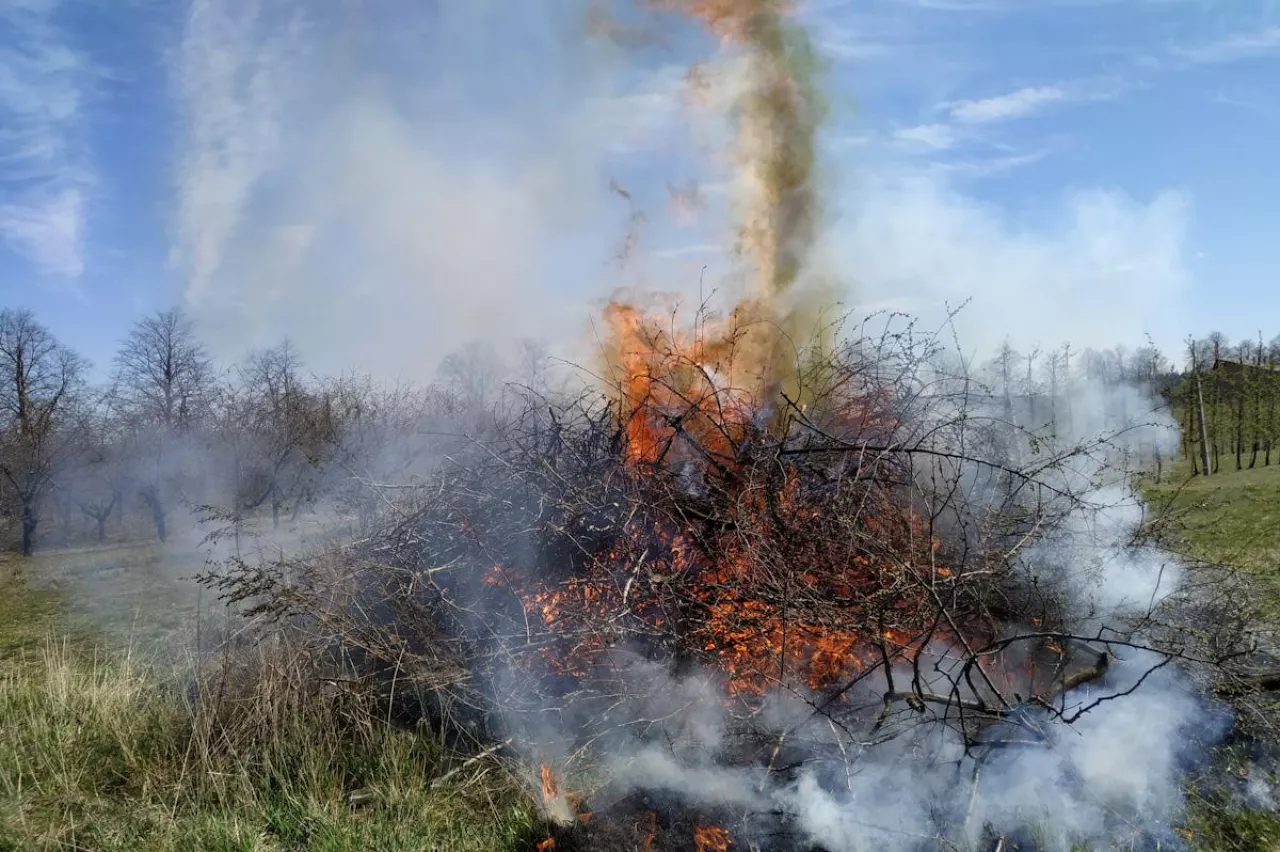 palące się gałęzie na polu