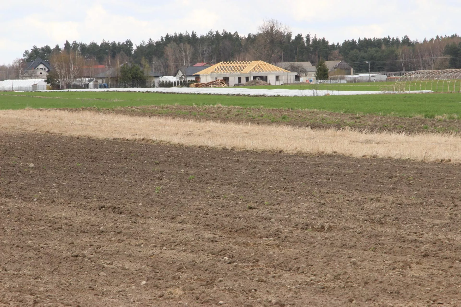 Ceny dzierżawy ziemi w górę. Gdzie czynsze są najwyższe?