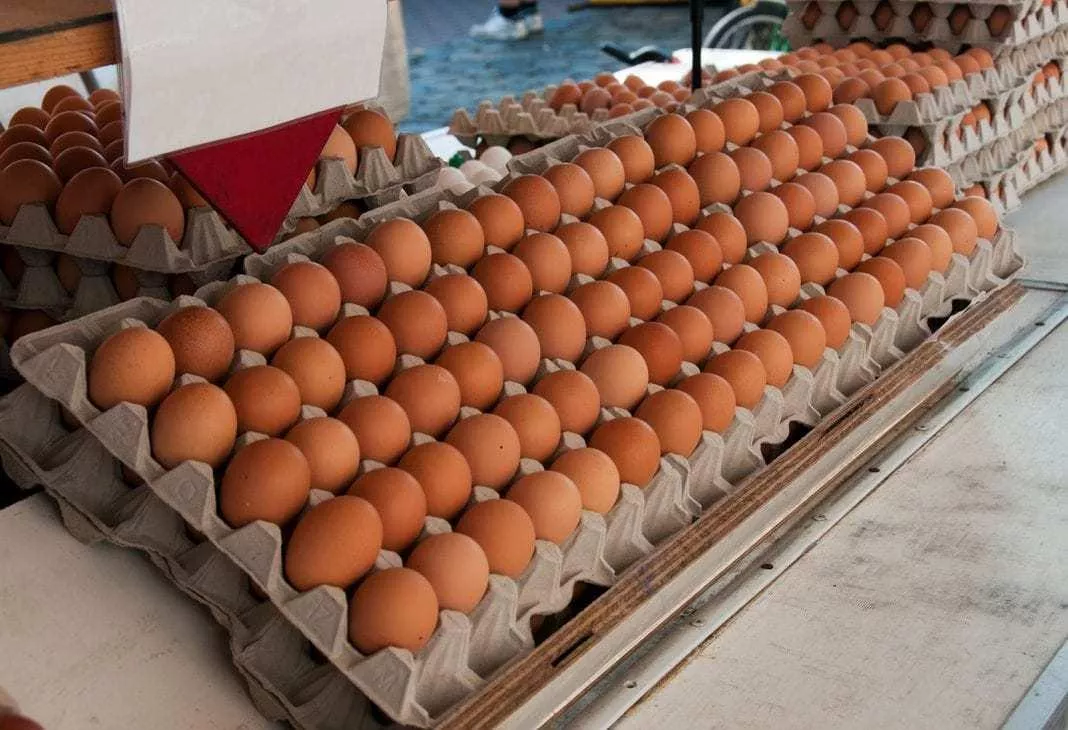 Polska produkuje miliardy jaj, ale import rośnie o 85%. Co się dzieje?