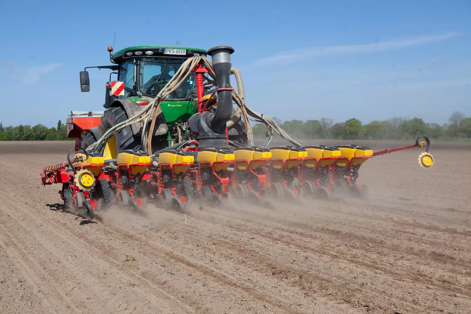 Kukurydza 4 lata na tym samym polu. Czy stracisz dopłaty w 2026?