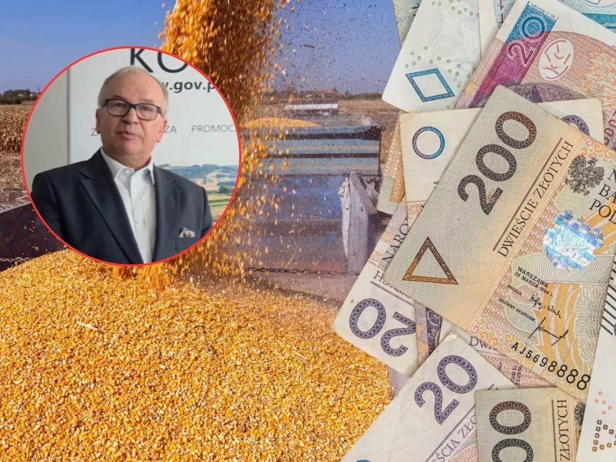 „Nic bardziej mylnego”. KOWR: rolnicy mogą stracić pieniądze
