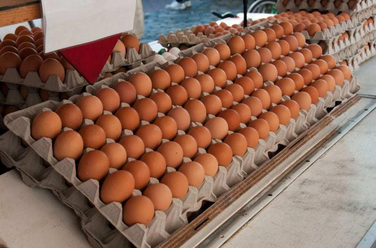 Polska produkuje miliardy jaj, ale import rośnie o 85%. Co się dzieje?