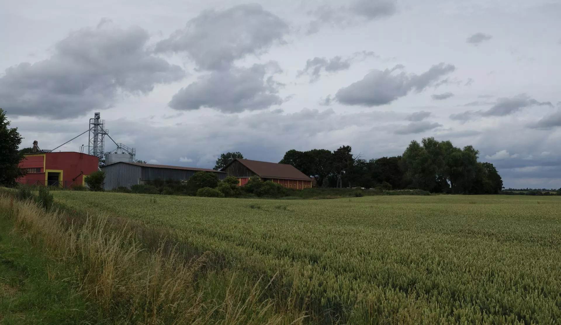 „Nie możemy się rozwijać”: Rolnicy mają dość decyzji gmin