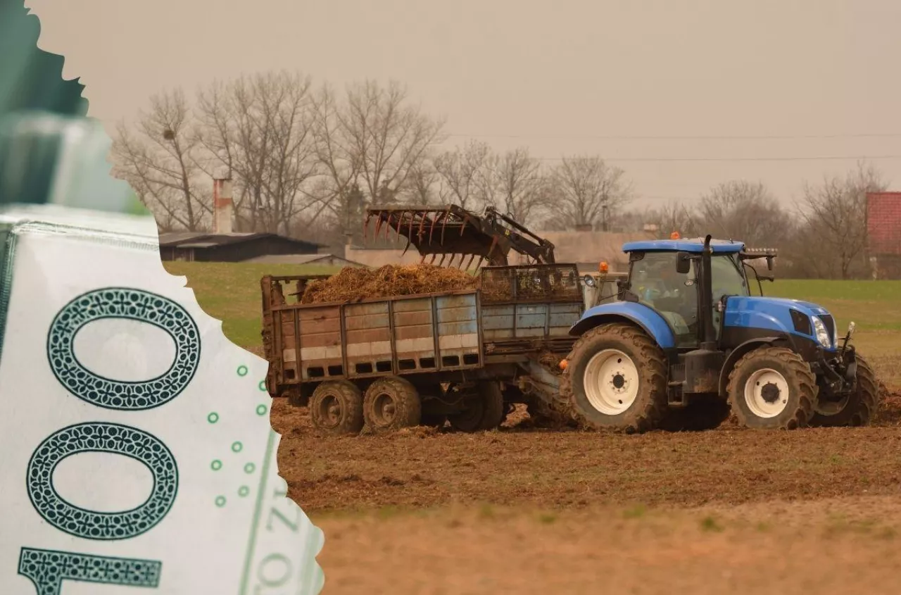 Ceny obornika 2026: ile kosztuje w tym roku?