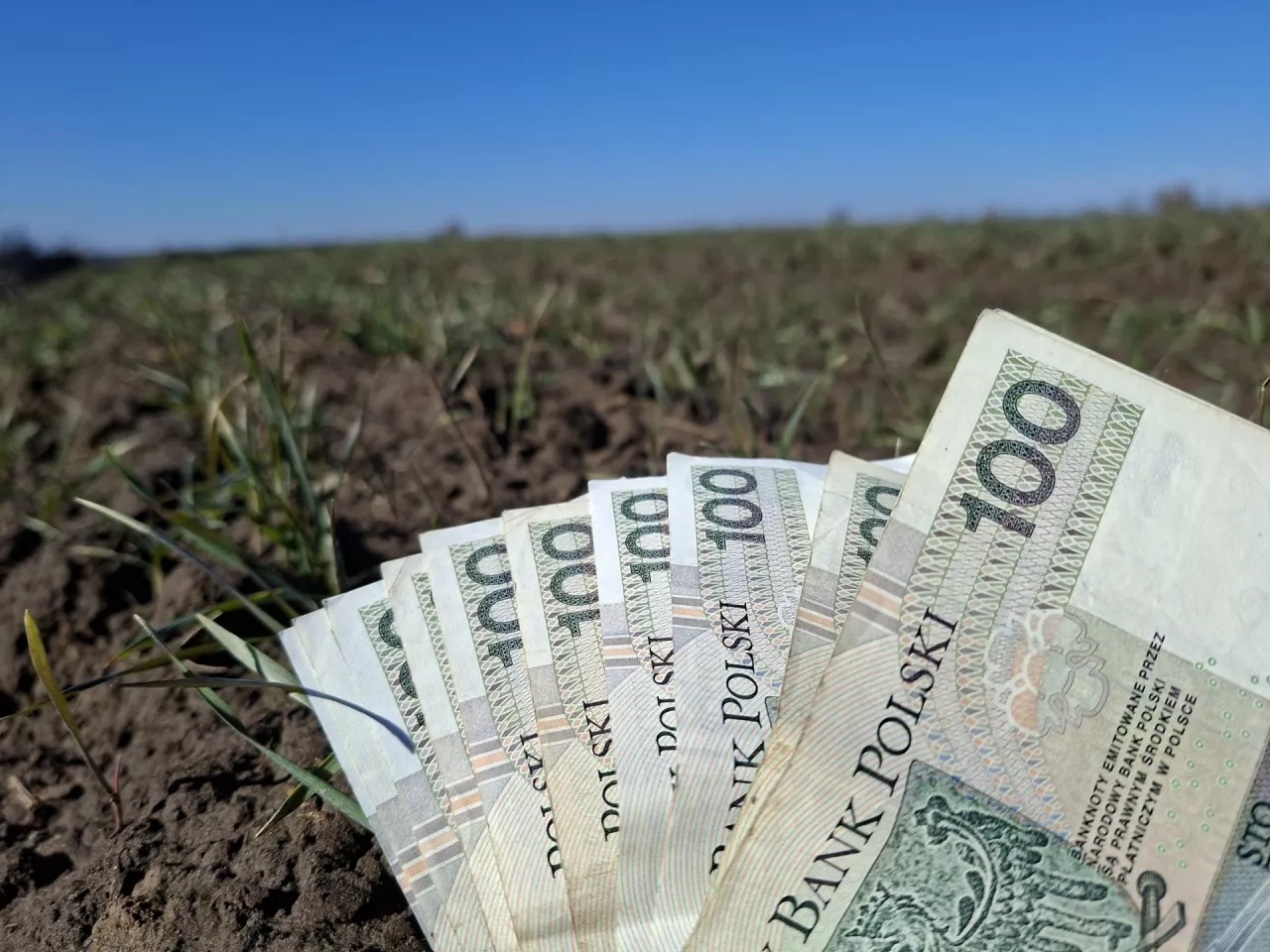 pole, banknoty polskie