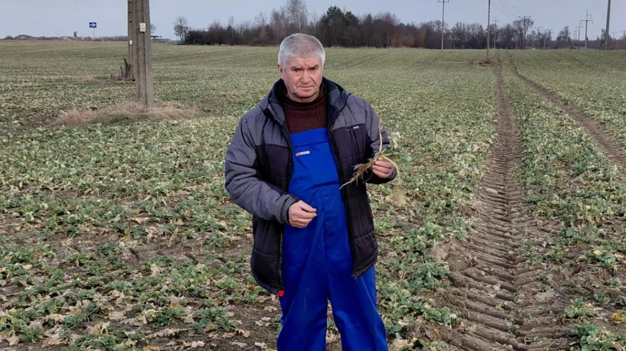 Janusz Sokołowski z Ostrowi Mazowieckiej razem z synem prowadzi 100-hektarowe gospodarstwo wyspecjalizowane w produkcji roślinnej.