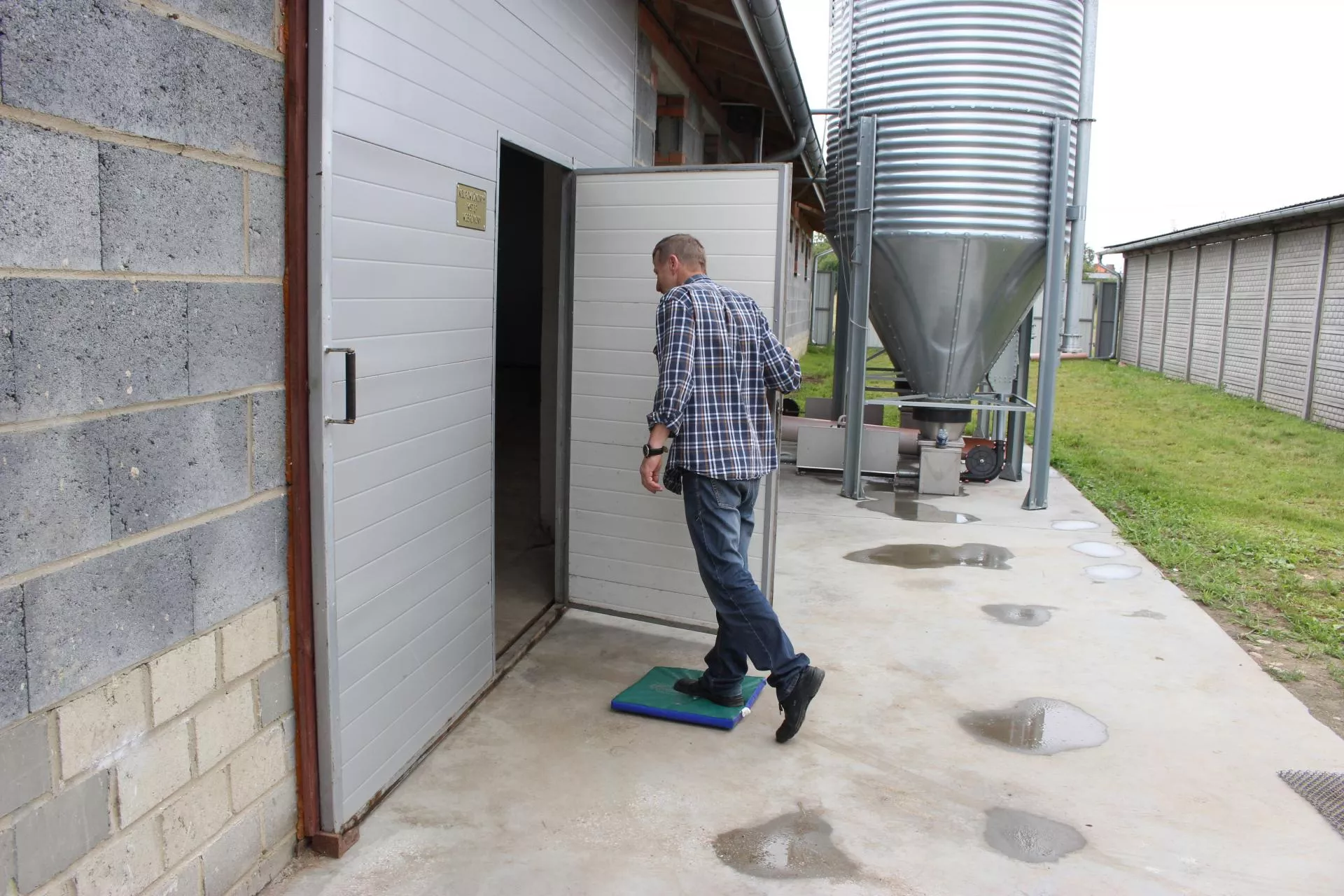 Koniec papierów dla rolników. Duże zmiany w przepisach o zwierzętach