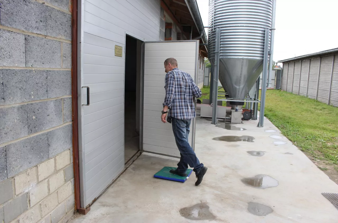 Koniec papierów dla rolników. Duże zmiany w przepisach o zwierzętach