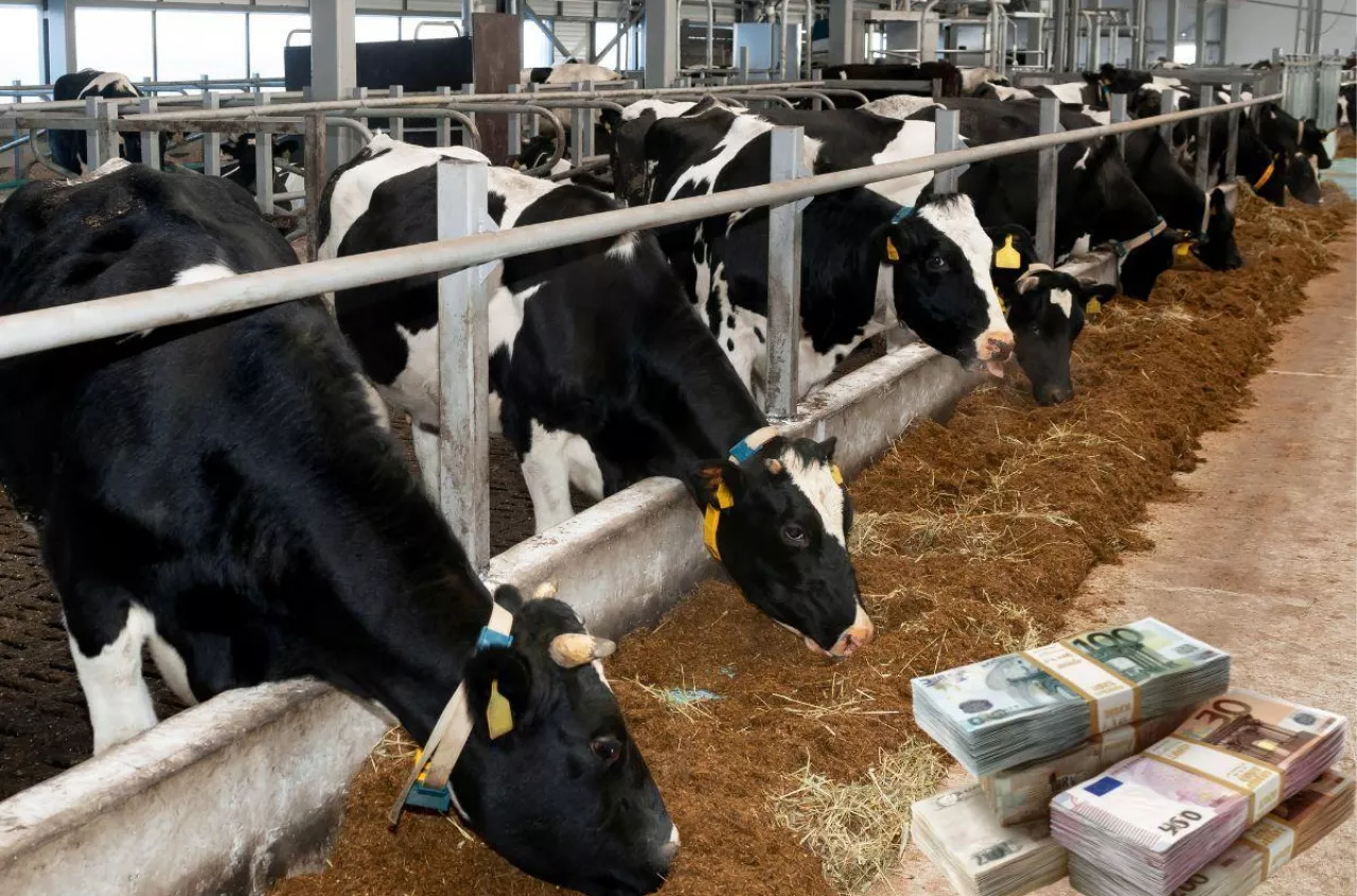 Kto naprawdę ustala ceny skupu mleka?