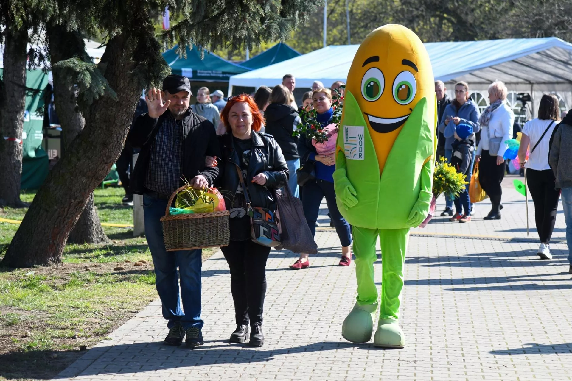 Rolnicy ruszą na wiosenne targi AGROMASZ. Będzie co oglądać