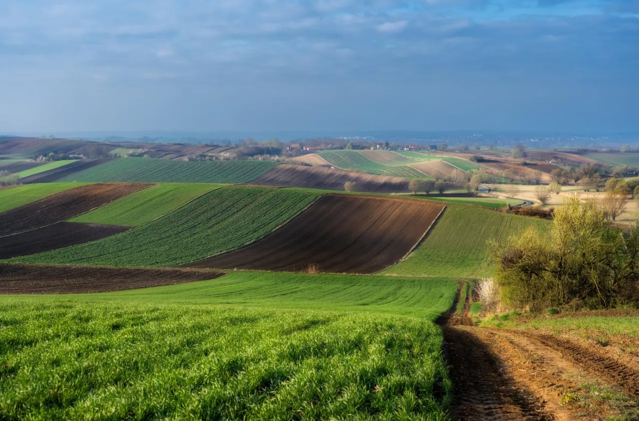 Spór o państwową ziemię. "Dzierżawy mogą być przedłużane latami"