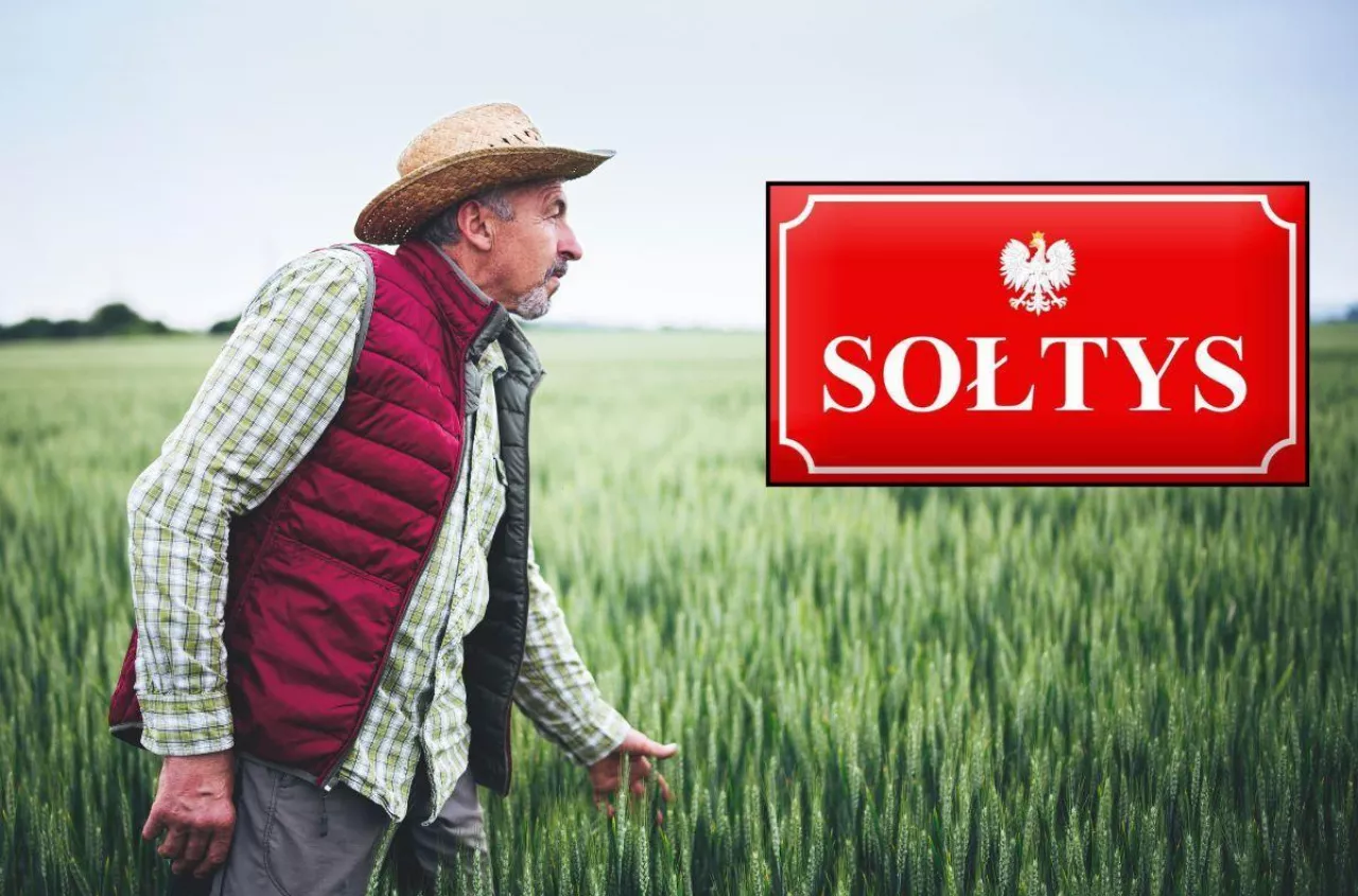 Ile zarabia sołtys w 2026 roku? Różnice są ogromne