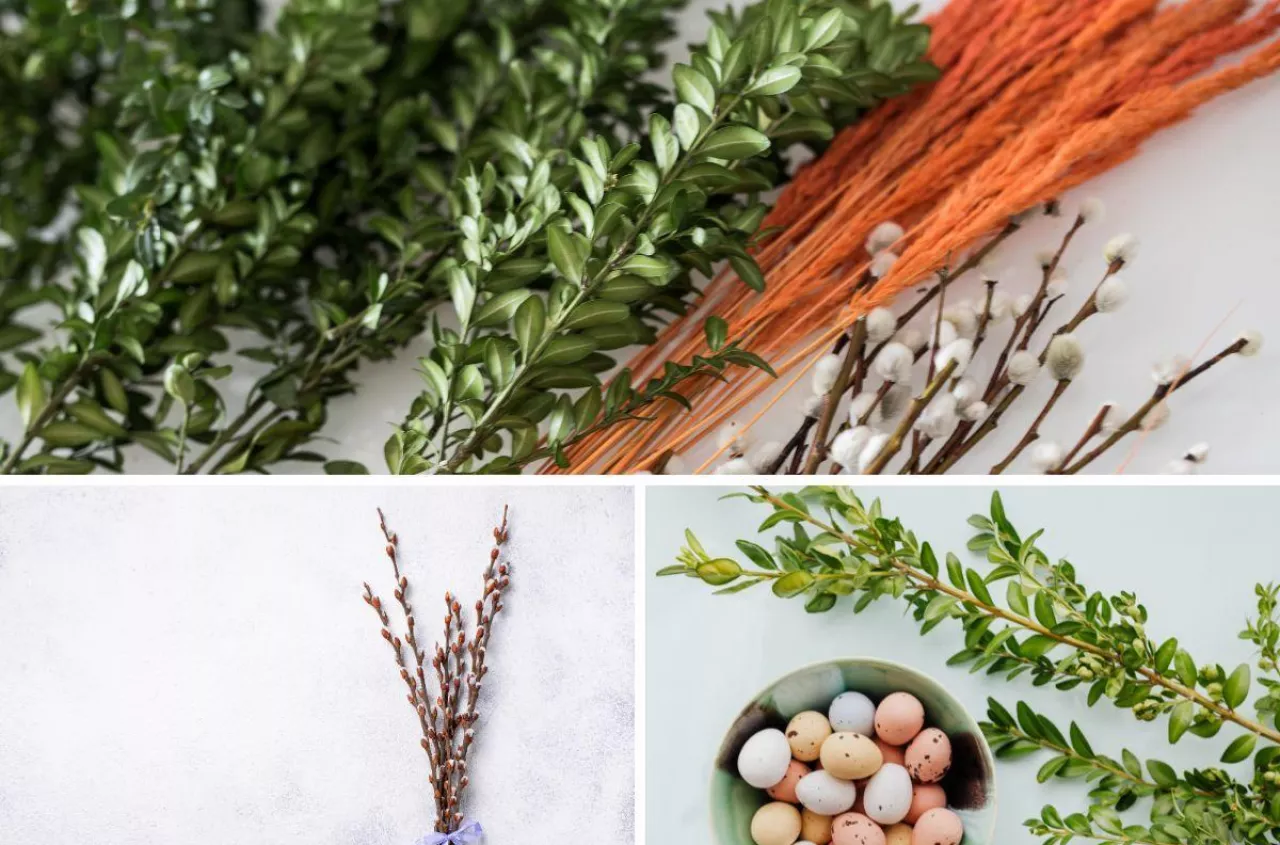 Te rośliny symbolizują Wielkanoc. Znasz ich znaczenie?