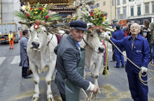 Wielkanoc we Florencji