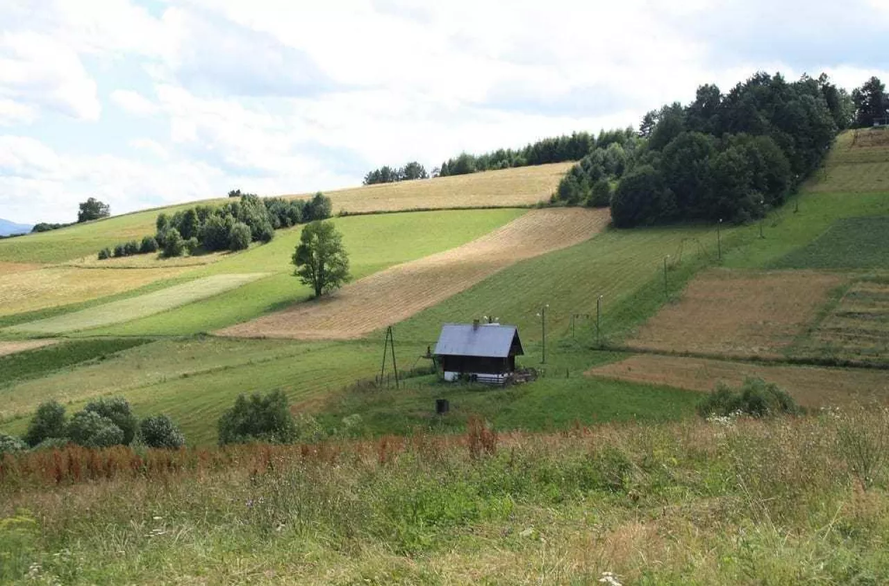 Ceny ziemi rolnej w górę. Sprawdź, gdzie hektar kosztuje najwięcej