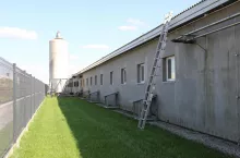 chlewnia z zewnątrz bioasekuracja kamyki ocht=rona przed gryzoniami