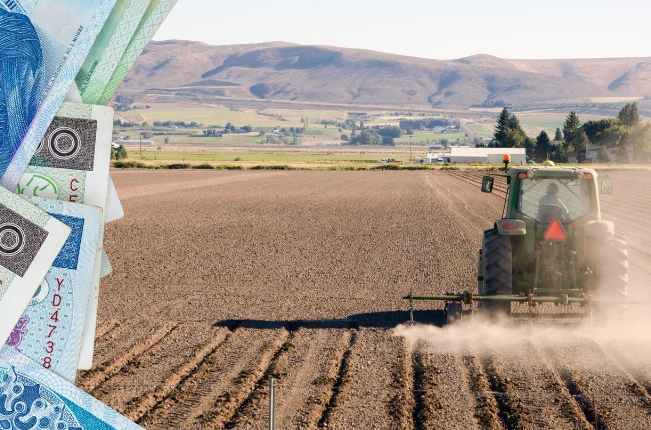 Koniec dzierżawy a dopłaty. Co zrobić, żeby ich nie stracić?