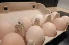 Polacy prawie na końcu Europy. Te liczby o jajkach zaskakują