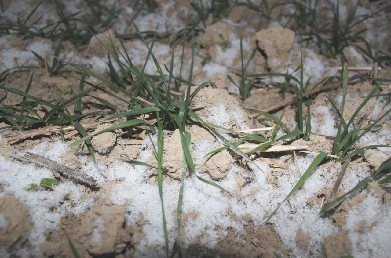 Śnieg był, ale to nie wystarczy. IMGW ostrzega: susza wraca