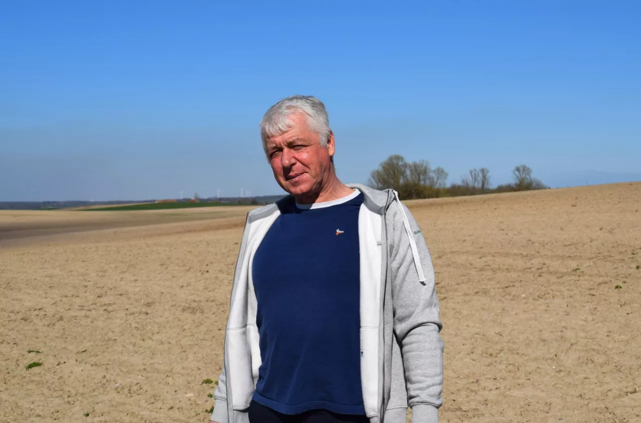 Uprawa soi. Co zrobić przed siewem, żeby nie stracić plonu?