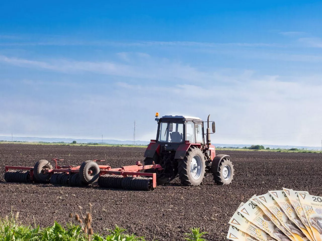 KOWR zmienia zasady gry. „Ofertówki” na ziemię znikną? Rolnicy alarmują