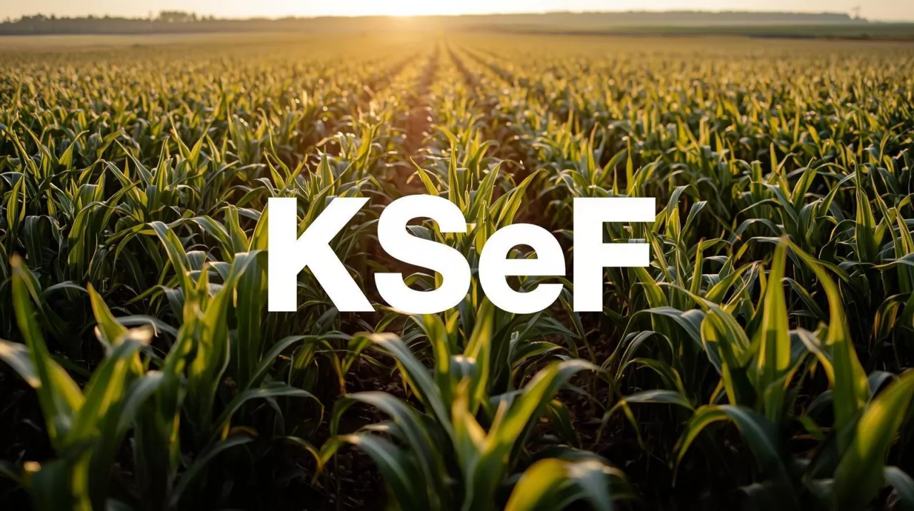 pole, na tle pola napis KSeF