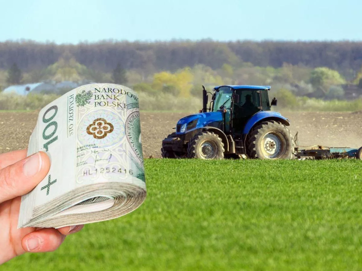 Płatność dla małych gospodarstw. Tyle wyniesie dopłata w 2026 roku