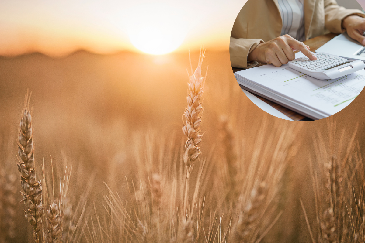 Rolnicy tracą, koszty rosną. Minister odpowiada: będą strategie