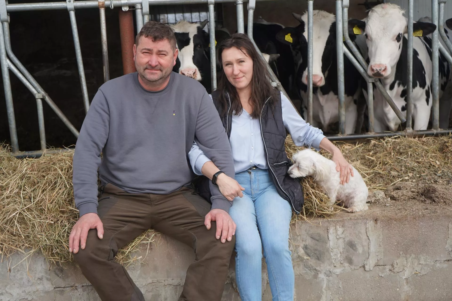 Marzą o nowej oborze, ale się wstrzymali. „Nie chcę doić u syna na emeryturze”