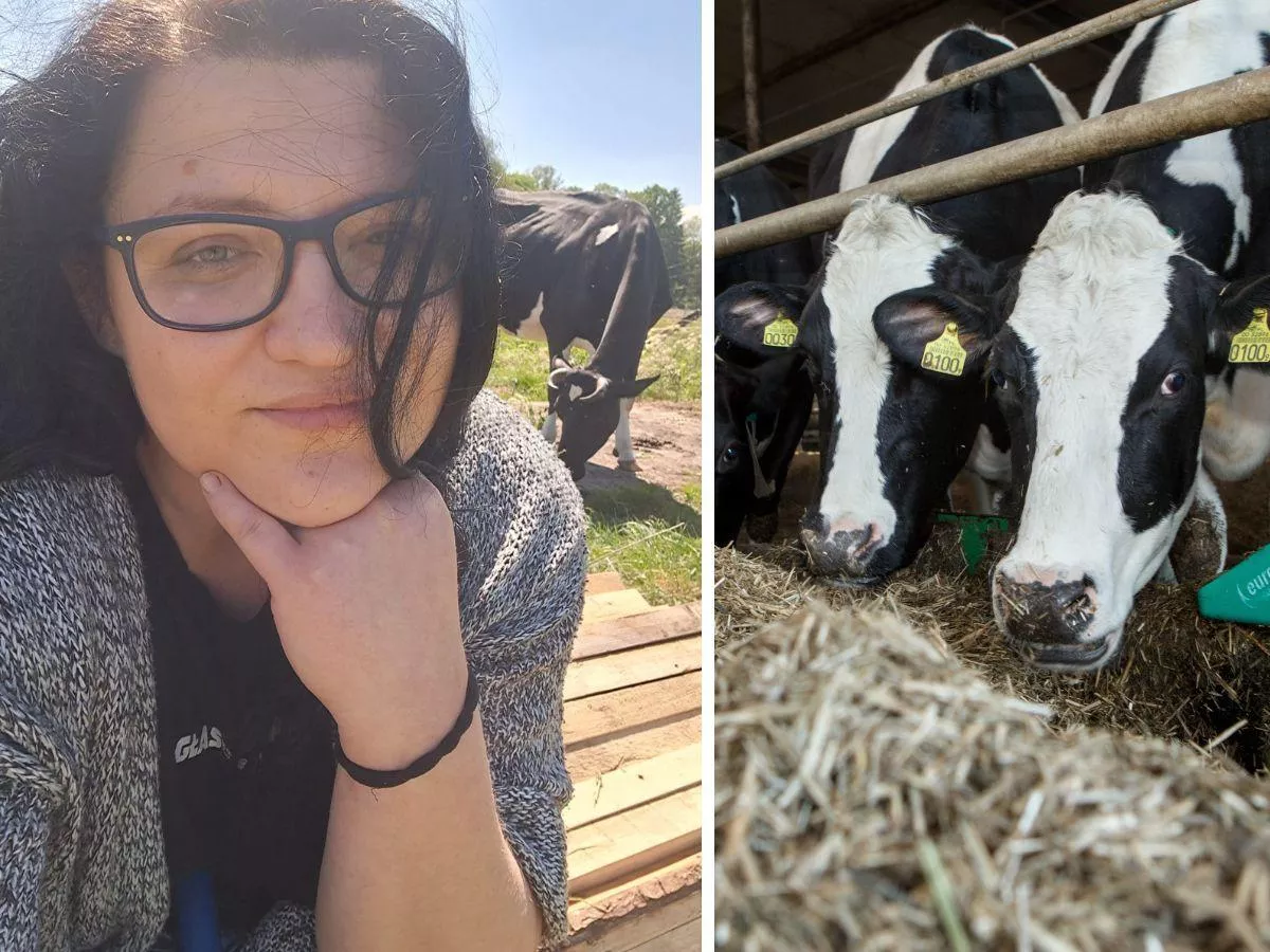 „Tracimy 7 tys. zł miesięcznie”. Rolniczka: ceny mleka nas dobijają