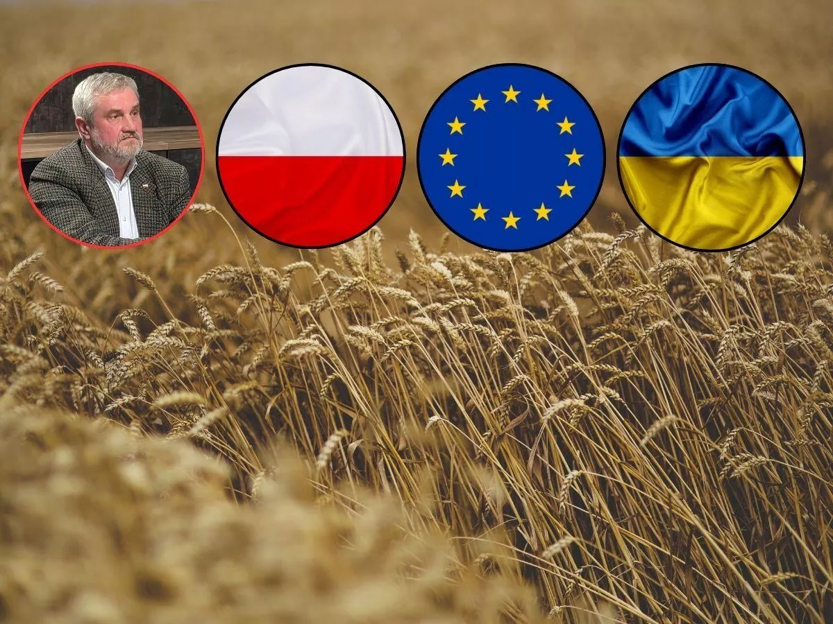 „To nie krasnoludki”. Ardanowski ujawnia, kto sprowadzał zboże