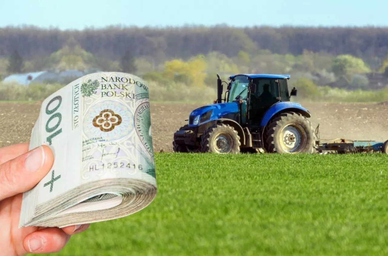 Płatność dla małych gospodarstw. Tyle wyniesie dopłata w 2026 roku