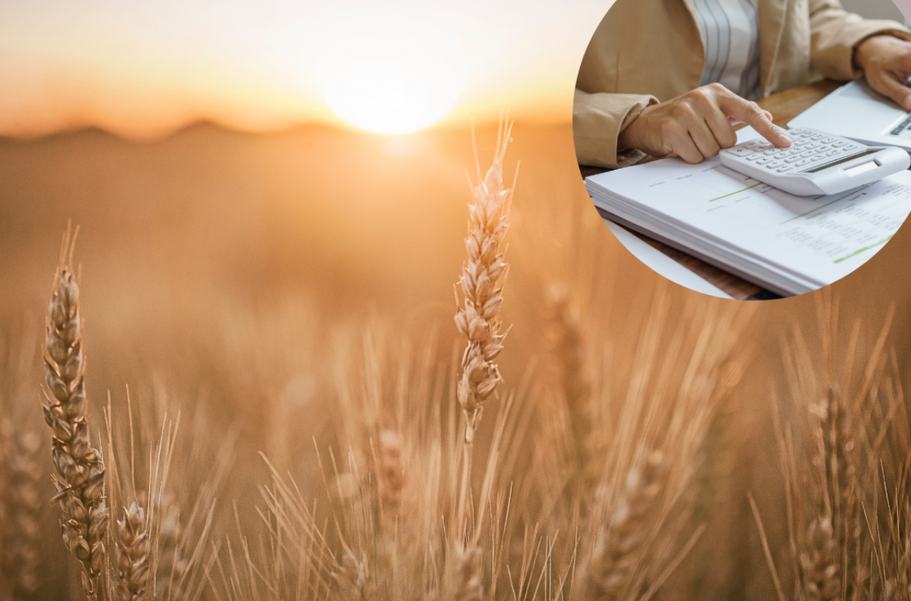 Rolnicy tracą, koszty rosną. Minister odpowiada: będą strategie