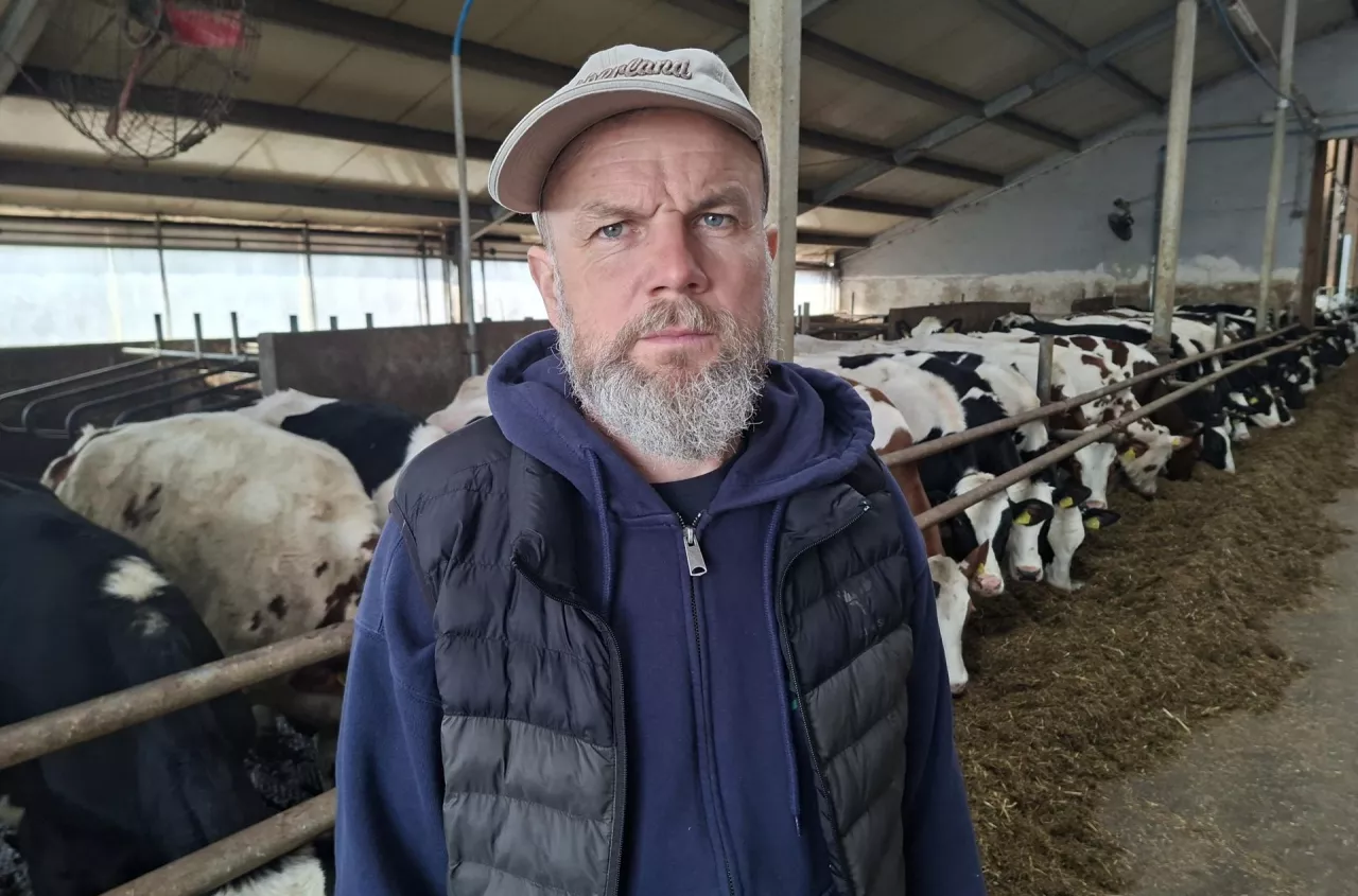 Zrezygnował z TMR i postawił na serwatkę. Efekt? Rekordowe przyrosty cieląt