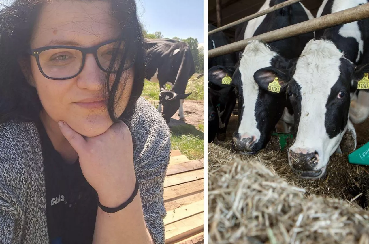 „Tracimy 7 tys. zł miesięcznie”. Rolniczka: ceny mleka nas dobijają